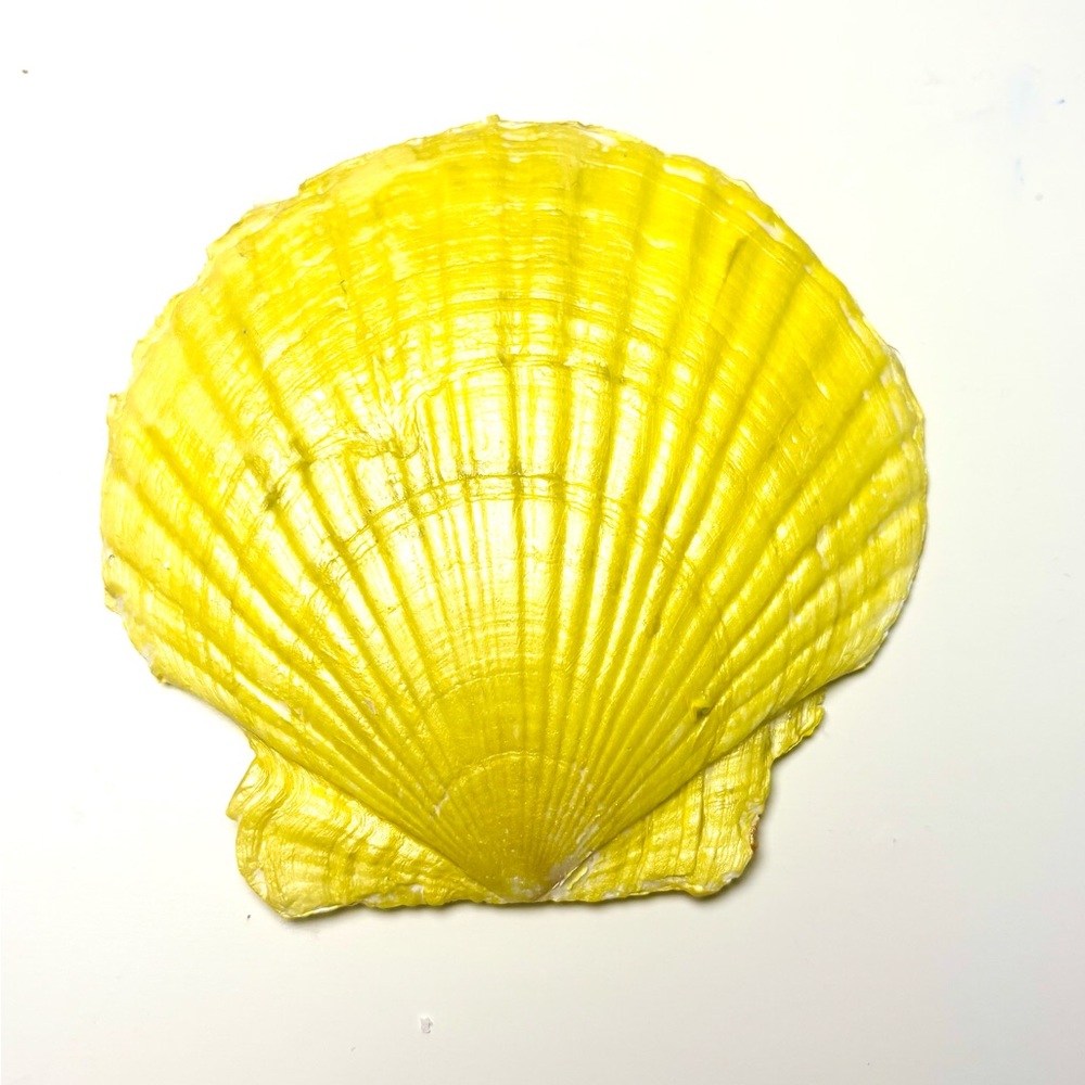 Handmade Scallop Shell Trinket Dish w/ Yellow Gingham Decoupage Design - Picture 3 of 3